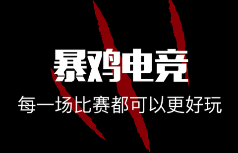 暴鸡电竞[图1]
