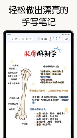 自由笔记截图1