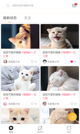 云养猫截图3
