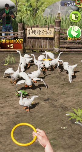 天天套圈[图1]