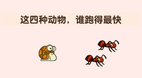 烧脑派对[图1]
