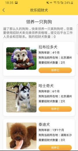 欢乐招财犬[图2]