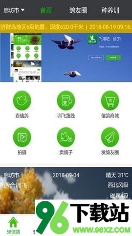 58信鸽[图1]