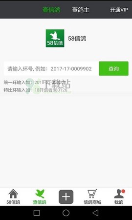 58信鸽[图2]