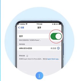 MERIT超燃脂[图1]