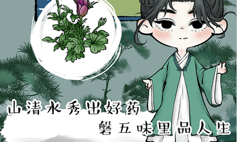 中药馆物语[图2]