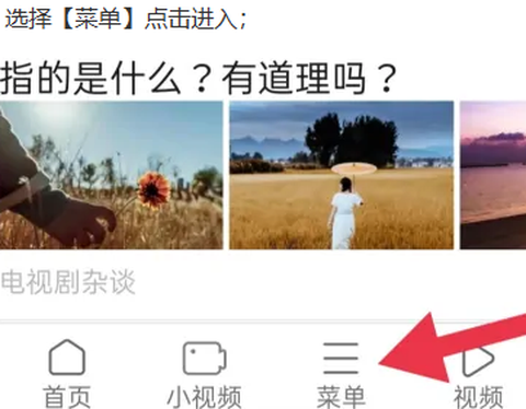 天马浏览器截图1