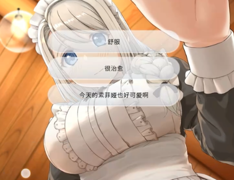 我与索菲亚的秘密截图2