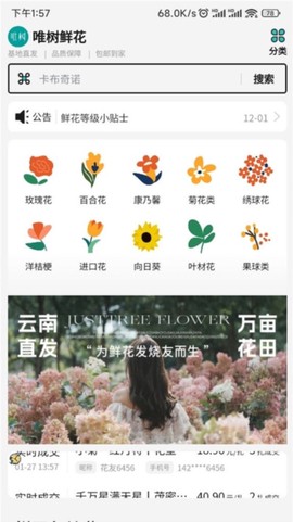 唯树鲜花[图1]