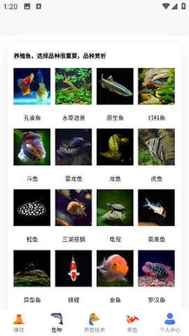 兼职养鱼赚钱[图1]