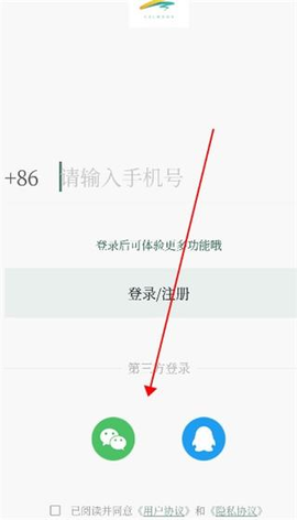 小情绪[图2]
