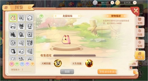 永恒岛[图2]