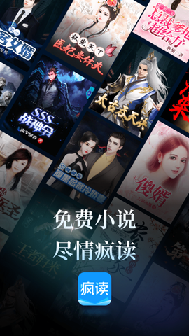 疯读小说图1