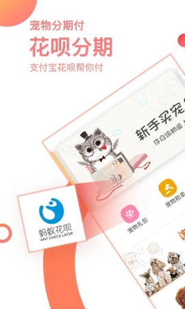淘宠网截图3