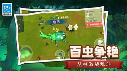 昆虫日记截图2
