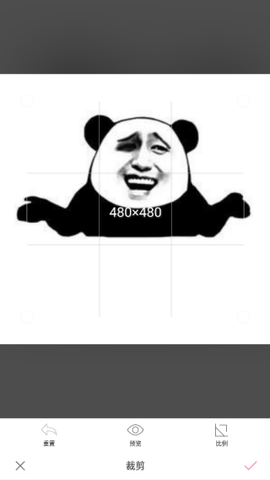 马赛克打码专家截图2