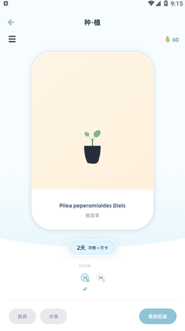 柠檬点点[图7]