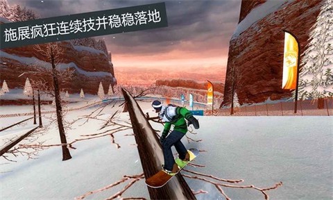 滑雪板派对:世界巡演截图1