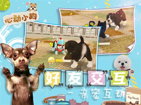 我的心动小狗截图1