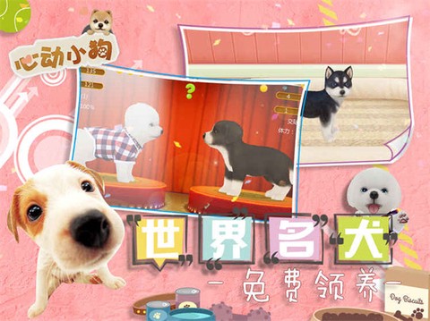 我的心动小狗截图2