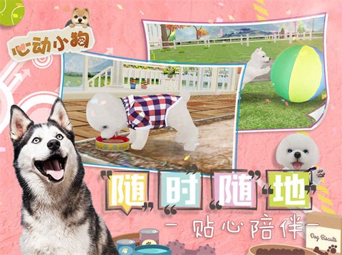 我的心动小狗截图3