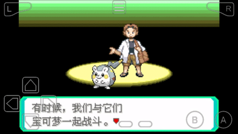 口袋妖怪：究极绿宝石5截图3