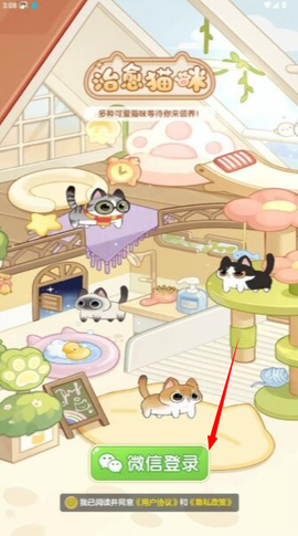 治愈猫咪图2