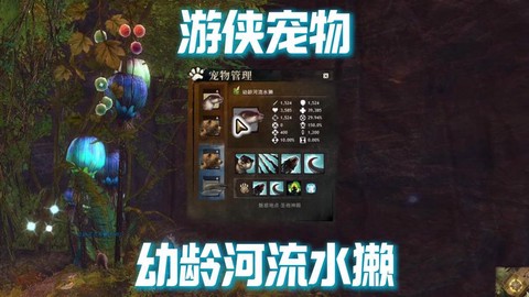 激战2游侠用什么宠物[图1]