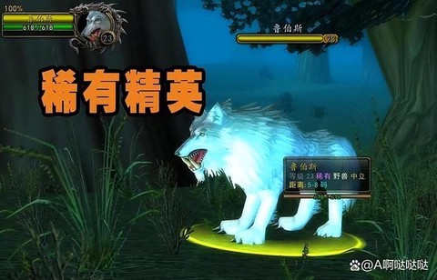 魔兽世界猎人带什么宠物[图2]