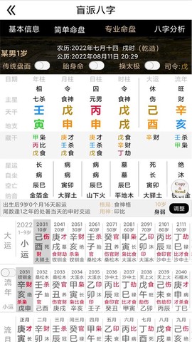 盲派八字图3