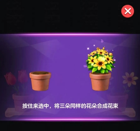 花朵小院[图1]