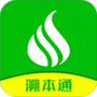 溯本通