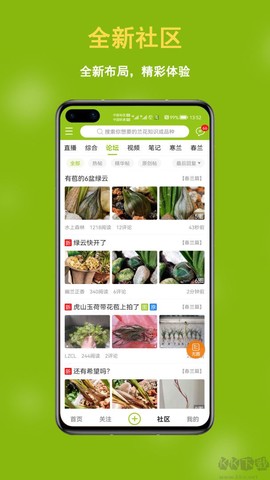 兰花交易网[图2]