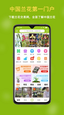 兰花交易网截图1