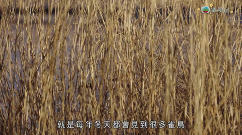 全聚合截图1