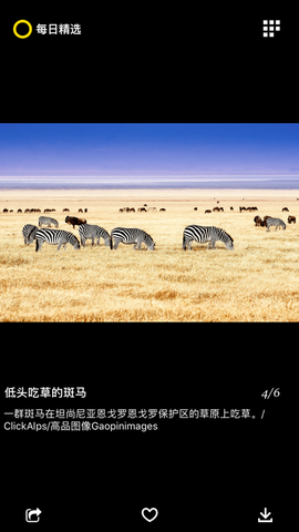 每日精选截图2