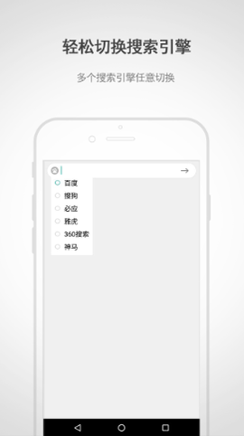 闪电浏览器截图3
