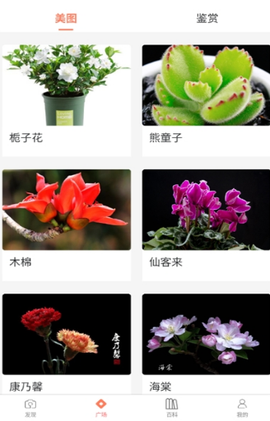 识花神器[图1]