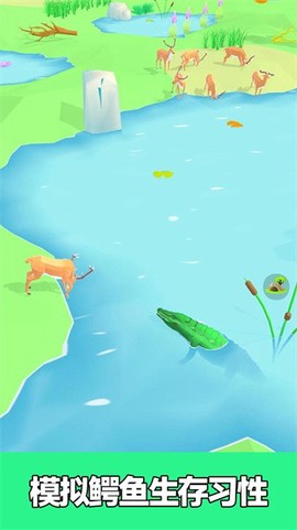 彩虹动物园[图1]
