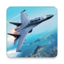 搏击长空:无限战机