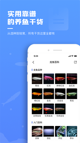 鲲天下截图2