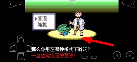 漆黑的魅影[图1]