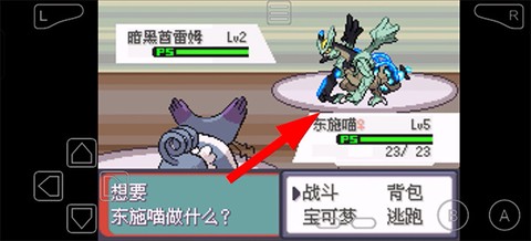 漆黑的魅影[图4]