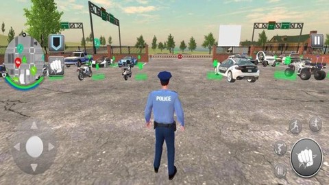 警察追捕行动2020[图3]