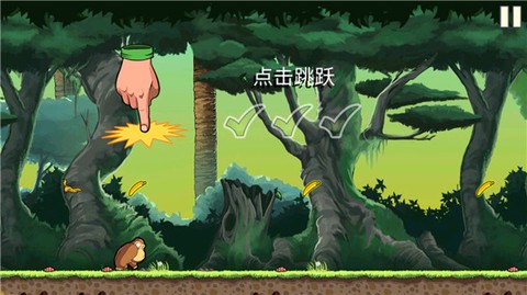 香蕉金刚[图1]