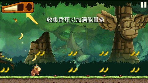 香蕉金刚[图4]