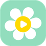 雏菊影视