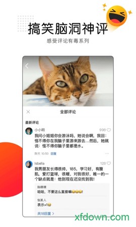 看点截图3