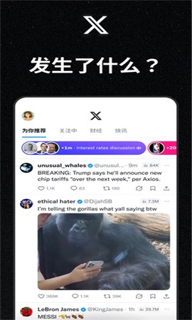 小蓝鸟截图3
