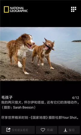 国家地理[图3]